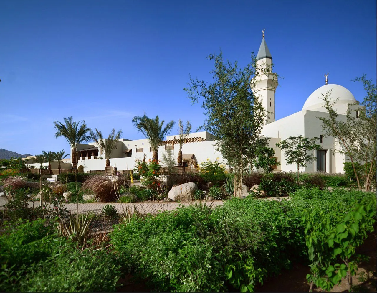 Dar Al Jewar community mosque and gardens, Knowledge Economic City, Madinah